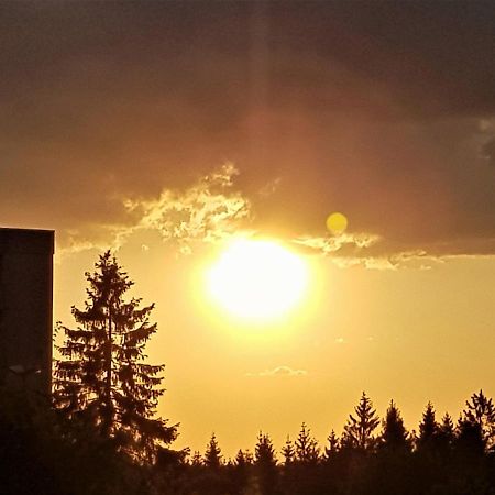 Grossdorf Appartement En Vogue Im Hahnenklee, Harz Γκόσλαρ Εξωτερικό φωτογραφία