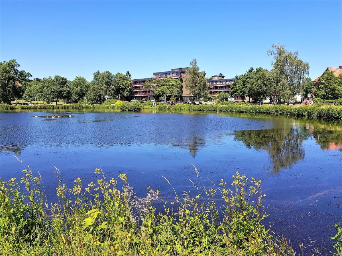 Grossdorf Appartement En Vogue Im Hahnenklee, Harz Γκόσλαρ Εξωτερικό φωτογραφία