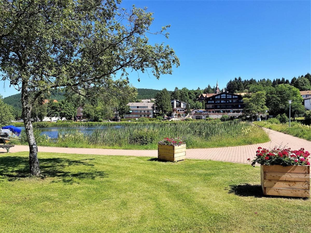 Grossdorf Appartement En Vogue Im Hahnenklee, Harz Γκόσλαρ Εξωτερικό φωτογραφία