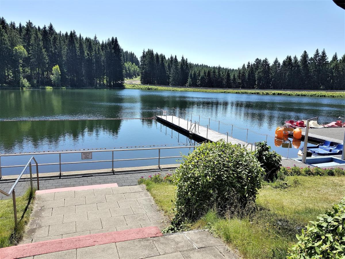 Grossdorf Appartement En Vogue Im Hahnenklee, Harz Γκόσλαρ Εξωτερικό φωτογραφία