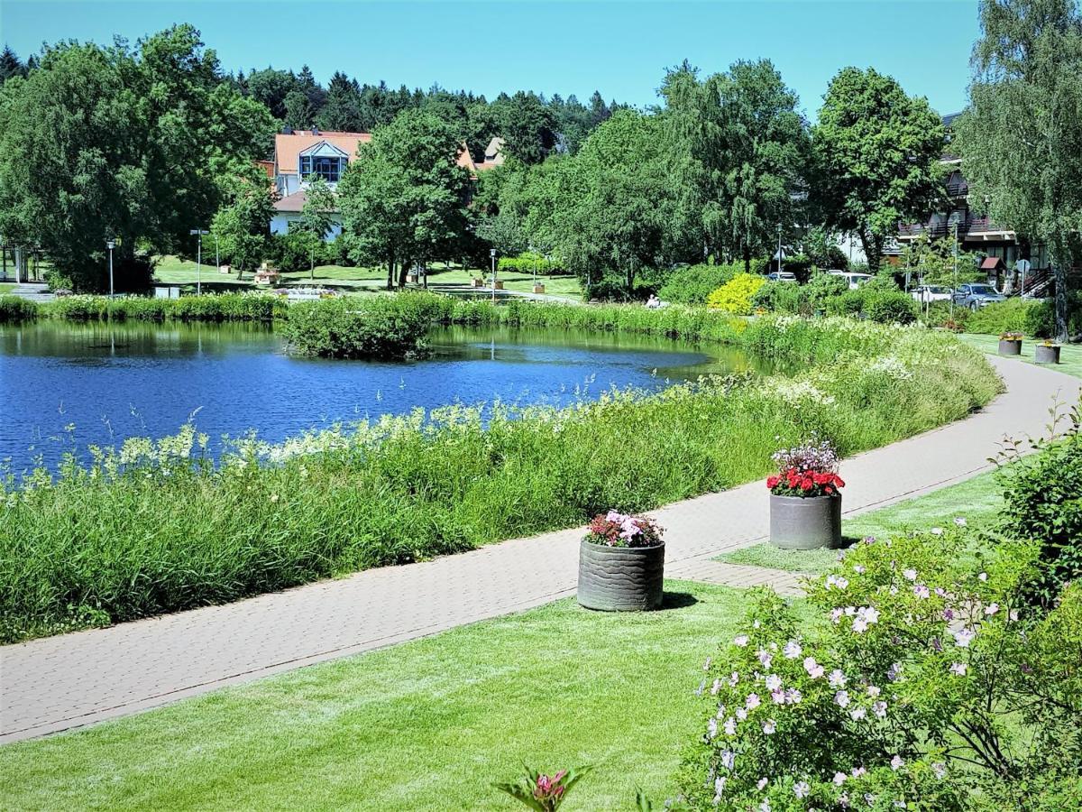 Grossdorf Appartement En Vogue Im Hahnenklee, Harz Γκόσλαρ Εξωτερικό φωτογραφία